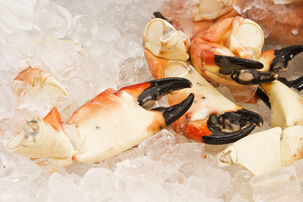 Stone-Crabs-1024x683.jpg